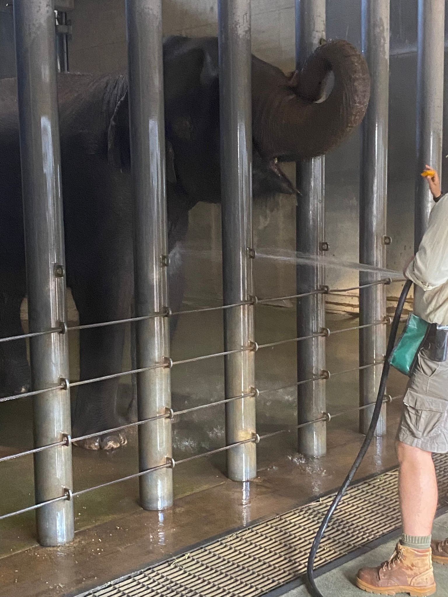 Dubbo Zoo 2025 Image -67de04a86b914